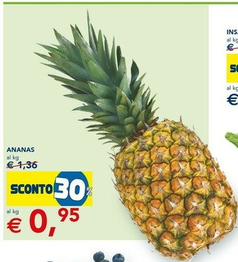 Esselunga Ananas offerta