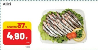 Coop Alici offerta