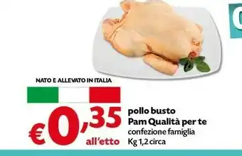 Pam Pollo Busto offerta
