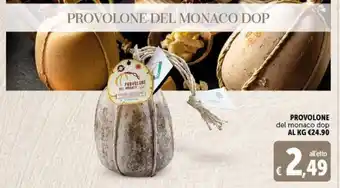 Deco Maxistore Provolone del monaco dop offerta