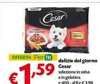 Pam Cesar Delizie Del Giorno Salsa In Gelatina offerta
