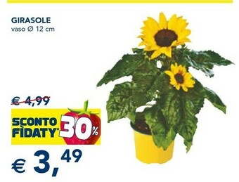 Esselunga Piante offerta