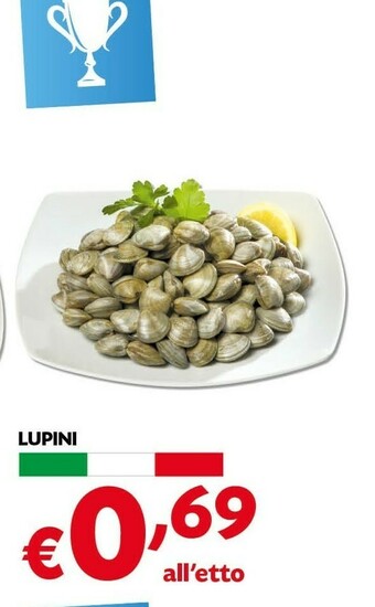 Pam Lupini offerta