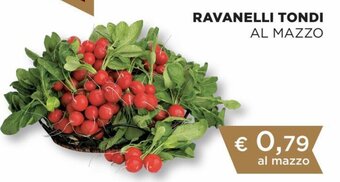 Coop Ravanelli Tondi al Mazzo offerta