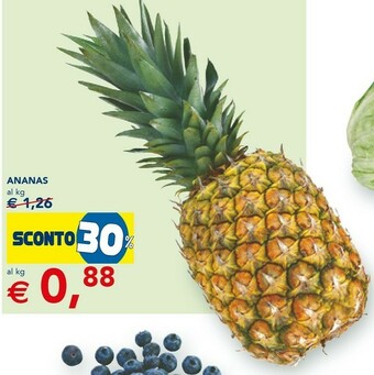 Esselunga Ananas offerta