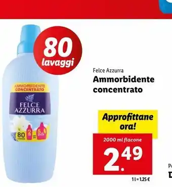 Lidl Ammorbidente concentrato felce azzurra offerta