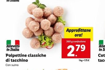 Lidl Polpettine classiche di tacchino offerta