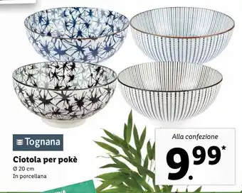 Lidl Ciotola per poké tognana offerta