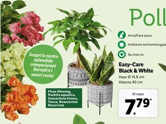 Lidl Easy-care black & white offerta