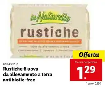 Lidl Rustiche 6 uova da allevamento a terra antibiotic free offerta