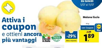 Lidl Melone liscio offerta