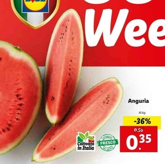 Lidl Anguria offerta