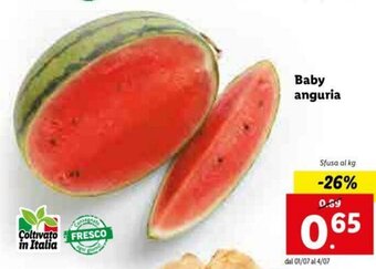 Lidl Baby anguria offerta