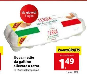 Uova medie da galline allevate a terra