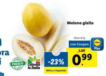 Lidl Melone giallo offerta
