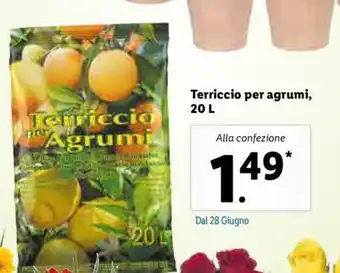 Lidl Terriccio per agrumi, 20L offerta