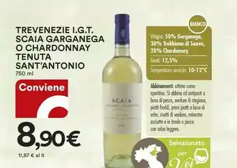 Trevenezie Igt Scaia Garganega O Chardonnay Tenuta Sant'antonio