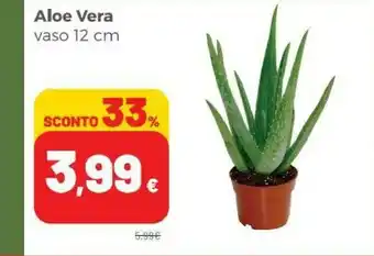 Coop Vera Aloe Vera offerta