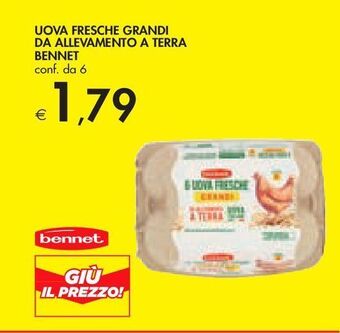 Bennet Uova fresche grandi da allevamento a terra bennet offerta