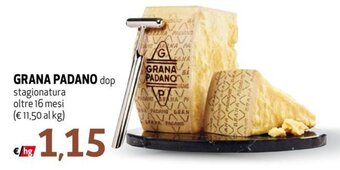 Maxi Family Grana Padano Dop Stagionatura oltre 16 mesi offerta