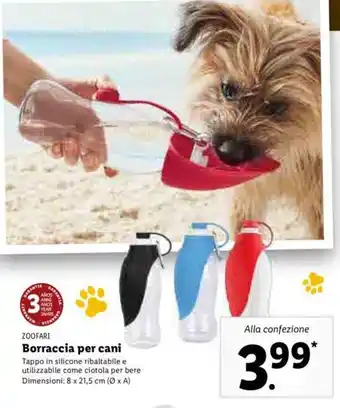 Lidl Borraccia per cani offerta