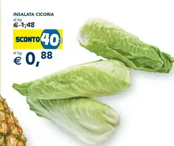 Esselunga Insalata Cicoria offerta