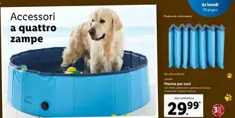 Piscina per cani