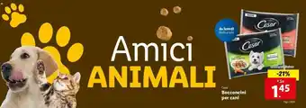 Bocconcini per cani 4x100g