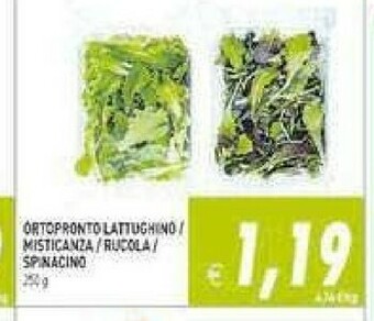 Gros Ortopronto Insalata offerta
