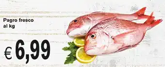 èccoMI Pagro fresco al kg offerta