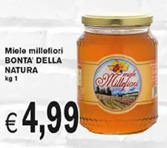 Bontà della Natura miele Millefiori 1 kg