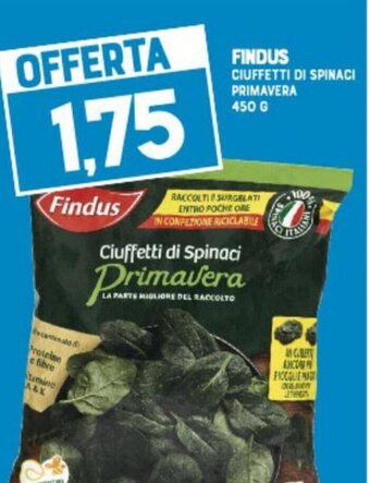 Gran Risparmio Findus Ciuffetti di spinaci primavera 450 g offerta