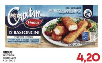 Gran Risparmio Findus Bastoncini di Merluzzo x 12 - 300 g offerta