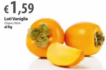 Extra Supermercati Loti Vaniglia al Kg offerta