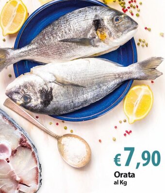 Extra Supermercati Orata al Kg offerta