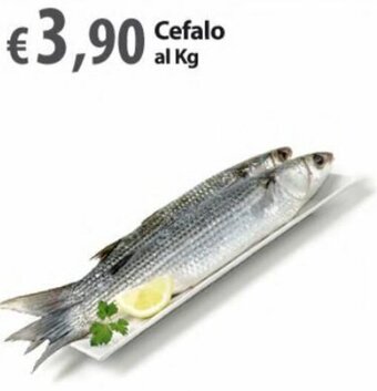 Extra Supermercati Cefalo al Kg offerta