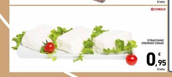 Spazio Conad Stracchino cremoso conad offerta
