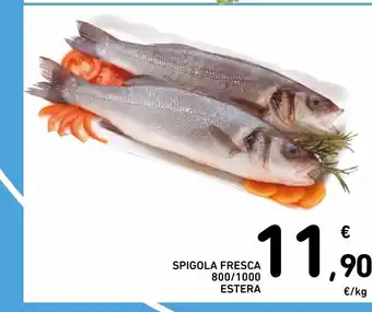 Spazio Conad Spigola fresca 800 / 100 estera offerta