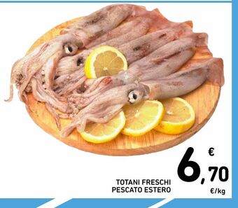 Spazio Conad Totani freschi pescato estero offerta