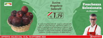 Susine Angeleno Solarelli