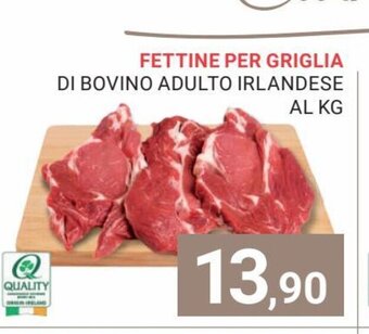 Eté Fettine Per Griglia Di Bovino Adulto Irlandese Al Kg offerta