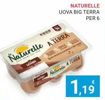 Eté Le Naturelle Uova Big Terra Per 6 offerta