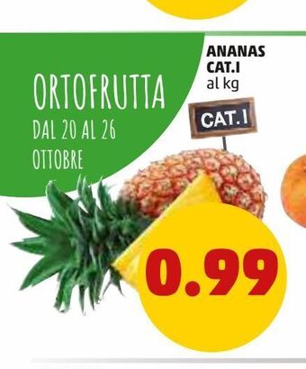 PENNY Ananas cat.i offerta
