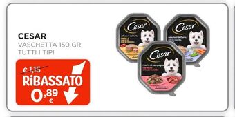 Arcaplanet Cesar vaschetta 150gr tutti i tipi offerta