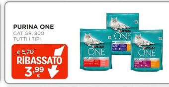 Arcaplanet Purina one cat 800gr tutti i tipi offerta