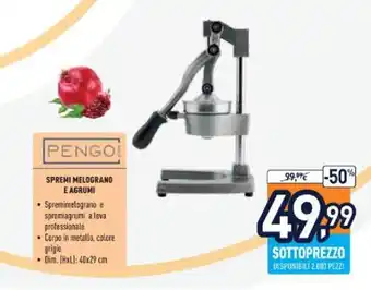 Pengo Spremi Melograno E Agrumi 40x29 cm