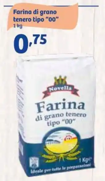 In'S Mercato Novella di grano tenero tipo "00" 1 kg offerta