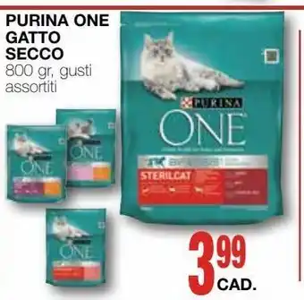 Purina one gatto seccoa