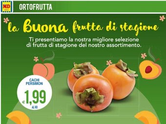 MD Discount Cachi Persimon offerta