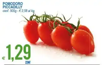 MD Discount Pomodoro Piccadilly Cone offerta